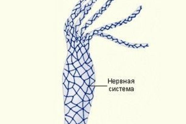 Ссылка на кракен тг