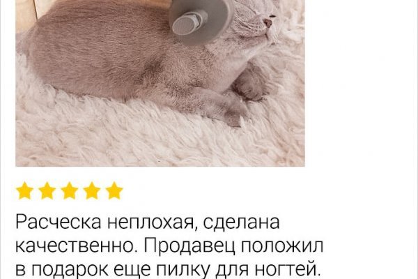 Kraken ссылка krakens13 at