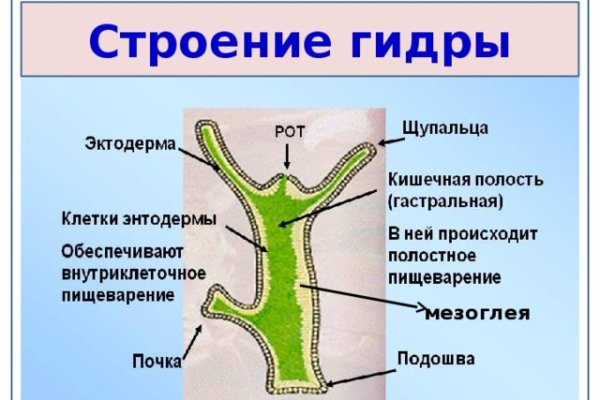 Кракен маркетплейс откуда взялся