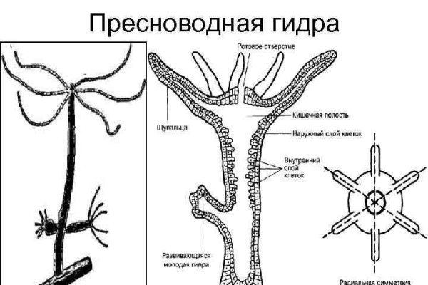 Кракен маркетплейс kr2connect co
